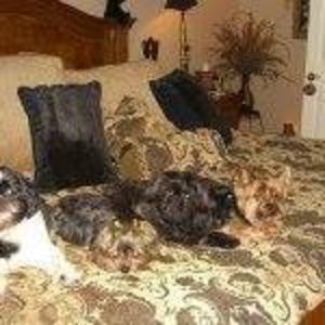 Meet your Posher, Shari